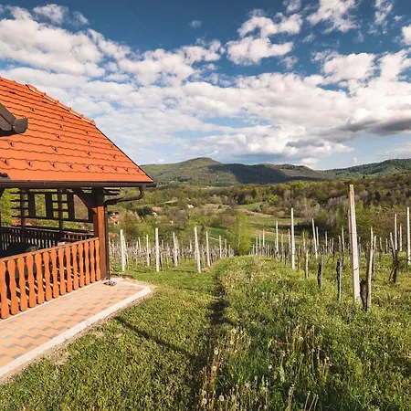 One Bedroom With Terrace And Garden Krška Vas