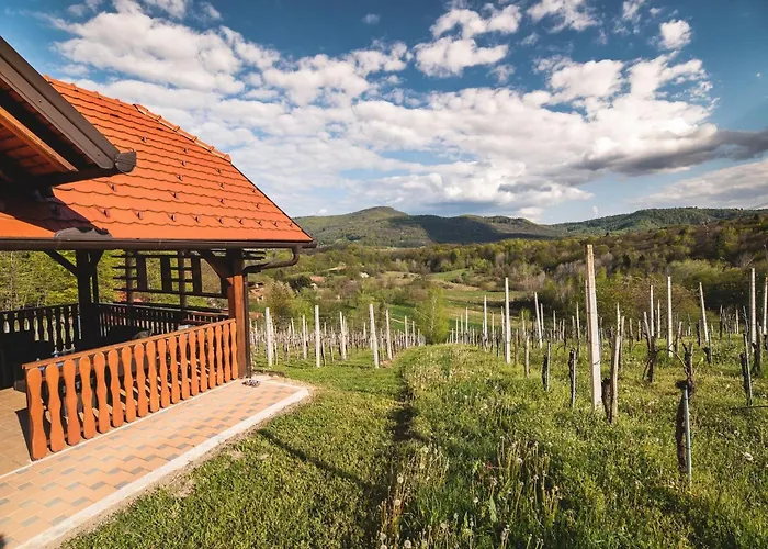 One Bedroom With Terrace And Garden Krška Vas