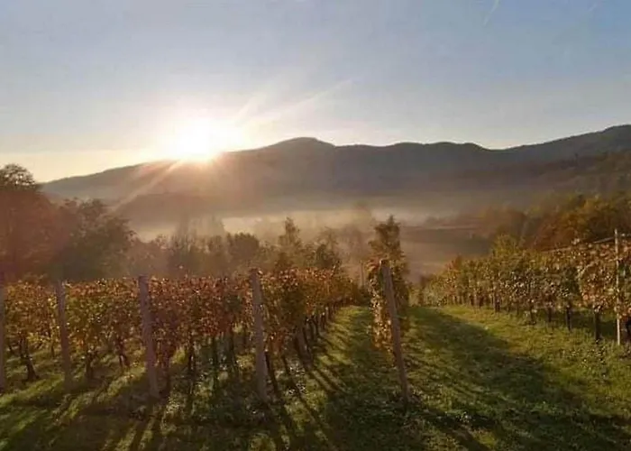 One Bedroom With Terrace And Garden * Krška Vas