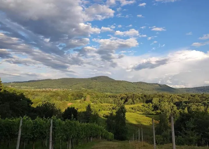 One Bedroom With Terrace And Garden * Krska Vas